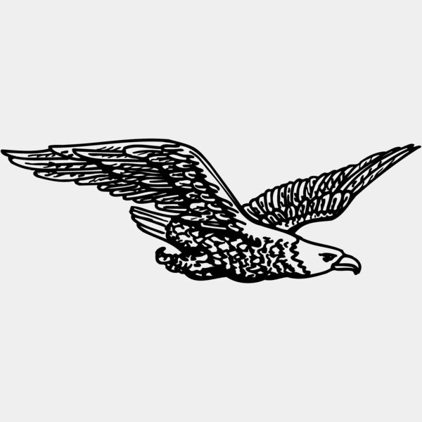 EAGLE006 Thumbnail