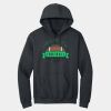 Heavy Blend  Hooded Sweatshirt Thumbnail