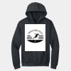 Heavy Blend  Hooded Sweatshirt Thumbnail