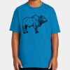 Youth Ultra Cotton ® 100% US Cotton T Shirt Thumbnail