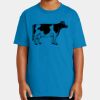 Youth Ultra Cotton ® 100% US Cotton T Shirt Thumbnail