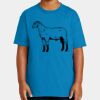 Youth Ultra Cotton ® 100% US Cotton T Shirt Thumbnail