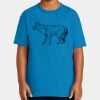 Youth Ultra Cotton ® 100% US Cotton T Shirt Thumbnail