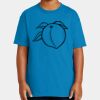 Youth Ultra Cotton ® 100% US Cotton T Shirt Thumbnail