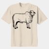 Youth Heavy Cotton 100% Cotton T Shirt Thumbnail