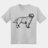 Youth DryBlend ® 50 Cotton/50 Poly T Shirt Thumbnail