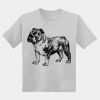 Youth DryBlend ® 50 Cotton/50 Poly T Shirt Thumbnail