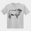 Youth DryBlend ® 50 Cotton/50 Poly T Shirt Thumbnail