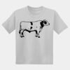 Youth DryBlend ® 50 Cotton/50 Poly T Shirt Thumbnail