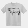 Youth DryBlend ® 50 Cotton/50 Poly T Shirt Thumbnail