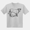 Youth DryBlend ® 50 Cotton/50 Poly T Shirt Thumbnail
