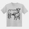 Youth DryBlend ® 50 Cotton/50 Poly T Shirt Thumbnail