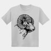 Youth DryBlend ® 50 Cotton/50 Poly T Shirt Thumbnail