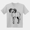 Youth DryBlend ® 50 Cotton/50 Poly T Shirt Thumbnail