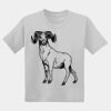 Youth DryBlend ® 50 Cotton/50 Poly T Shirt Thumbnail