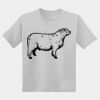 Youth DryBlend ® 50 Cotton/50 Poly T Shirt Thumbnail