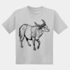 Youth DryBlend ® 50 Cotton/50 Poly T Shirt Thumbnail