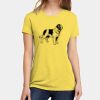Apparel ® Women's CVC Tee Thumbnail