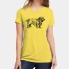 Apparel ® Women's CVC Tee Thumbnail