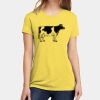 Apparel ® Women's CVC Tee Thumbnail