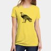 Apparel ® Women's CVC Tee Thumbnail
