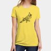 Apparel ® Women's CVC Tee Thumbnail