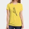 Apparel ® Women's CVC Tee Thumbnail