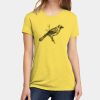 Apparel ® Women's CVC Tee Thumbnail