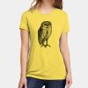 Apparel ® Women's CVC Tee Thumbnail