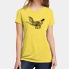 Apparel ® Women's CVC Tee Thumbnail