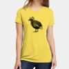 Apparel ® Women's CVC Tee Thumbnail