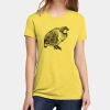 Apparel ® Women's CVC Tee Thumbnail