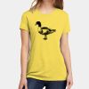 Apparel ® Women's CVC Tee Thumbnail