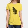 Apparel ® Women's CVC Tee Thumbnail