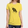 Apparel ® Women's CVC Tee Thumbnail