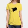 Apparel ® Women's CVC Tee Thumbnail