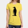 Apparel ® Women's CVC Tee Thumbnail