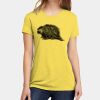 Apparel ® Women's CVC Tee Thumbnail