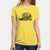 Apparel ® Women's CVC Tee Thumbnail