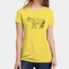 Apparel ® Women's CVC Tee Thumbnail