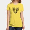 Apparel ® Women's CVC Tee Thumbnail