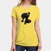Apparel ® Women's CVC Tee Thumbnail