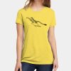 Apparel ® Women's CVC Tee Thumbnail