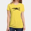 Apparel ® Women's CVC Tee Thumbnail