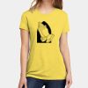 Apparel ® Women's CVC Tee Thumbnail