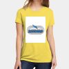 Apparel ® Women's CVC Tee Thumbnail