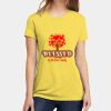 Apparel ® Women's CVC Tee Thumbnail